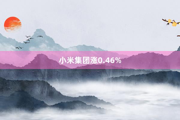 小米集团涨0.46%